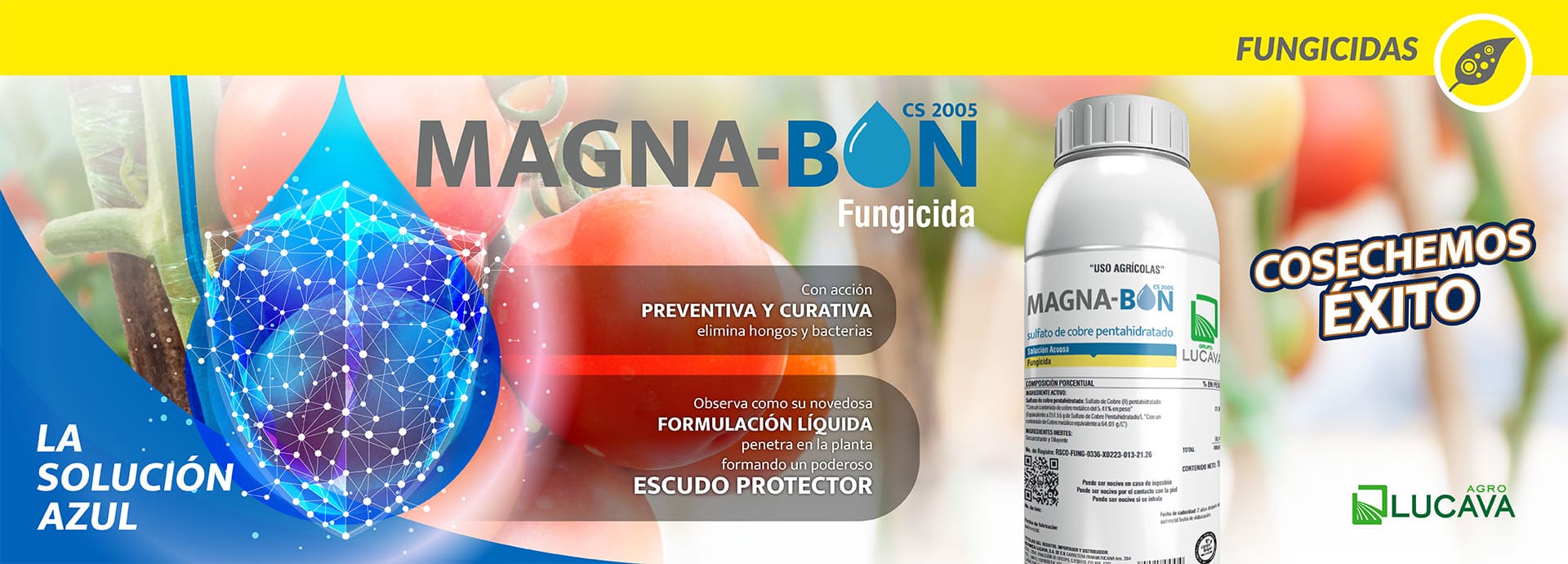 Magnabon_Web-1