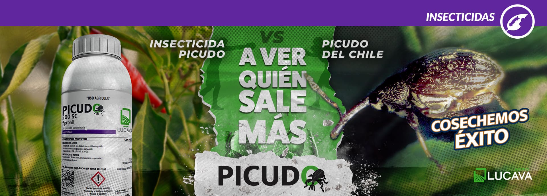 Picudo_Web-1